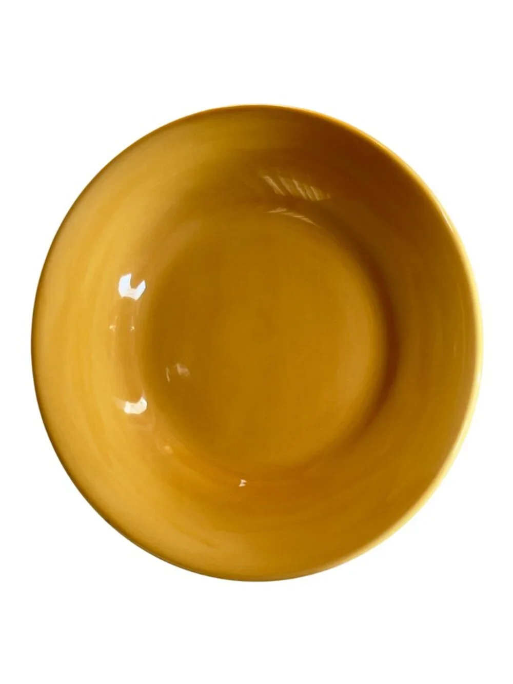 Pottery Barn Sausalito Amber Stoneware Dinner Plate 12.5